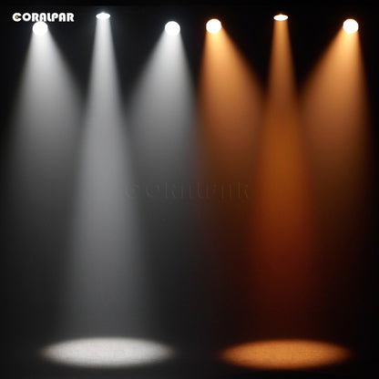 Waterdichte LED Zoom & Wash Par 300 W Koel en warm wit 2in1 licht (IP65) Hoge helderheid voor kerktheater Bruiloft CORALPAR
