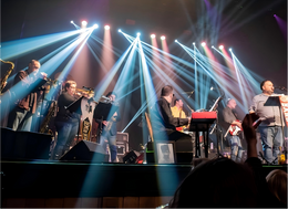SHEHDS Powers Steely Dane’s Live Performances with World-Class Stage Lighting